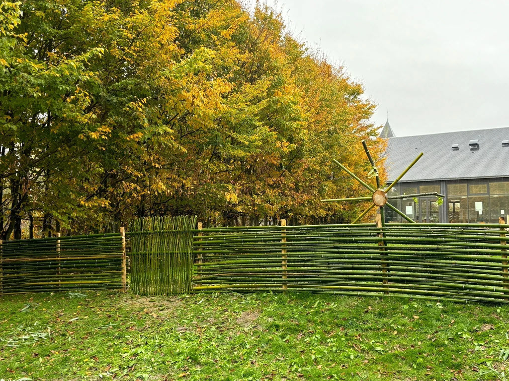 Clôture en bambou