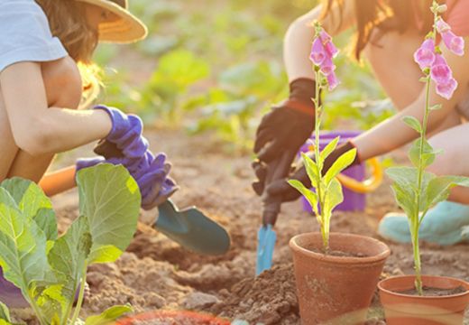 Création d’espaces extérieurs durables