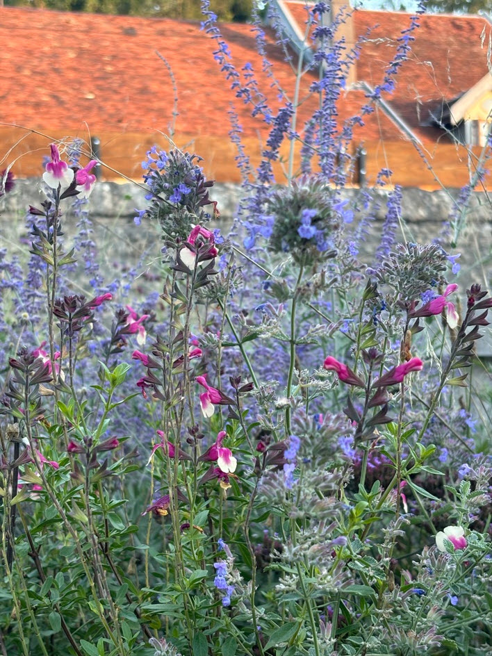 Massif fleuri