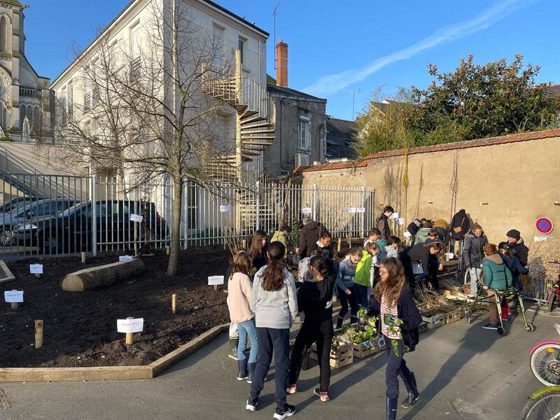 Atelier de végétalisation école Angers Sacré coeur
