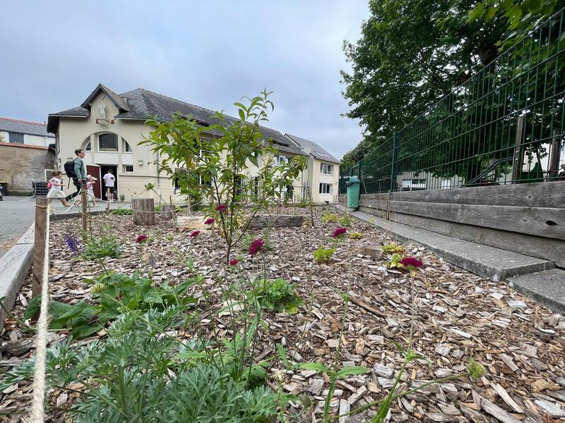 Parterre végétalisé école Angers