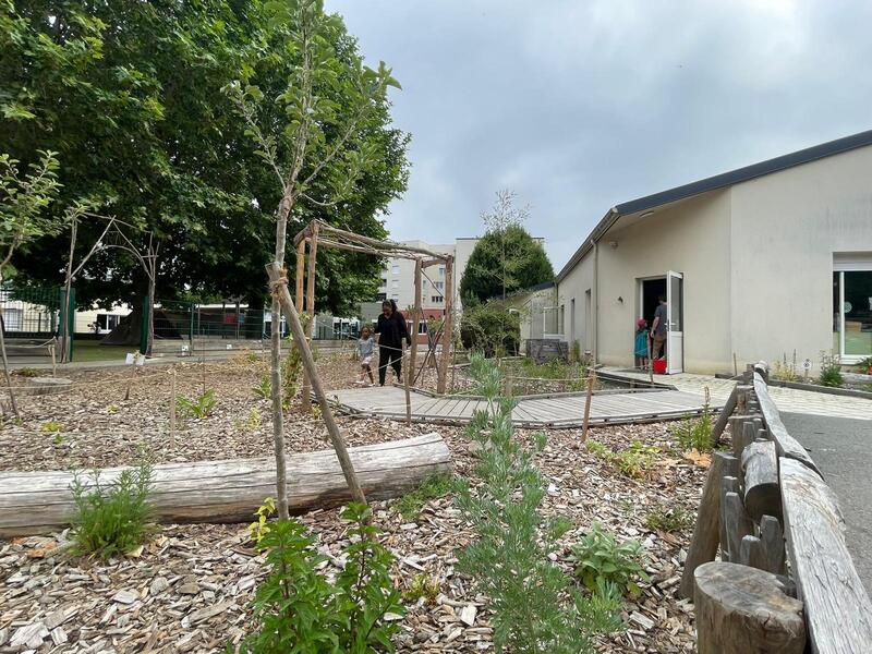 Végétalisation cour d'école Angers
