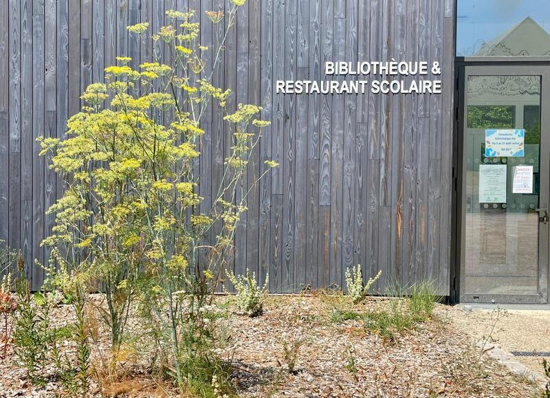 Végétalisation bibliothèque cantine