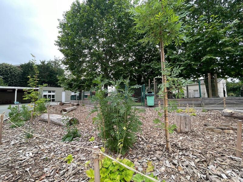 Zone de motricité végétalisée école